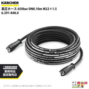 ケルヒャー（KARCHER） ノズルチップ 15度 5.765-163.0 クリーナー用