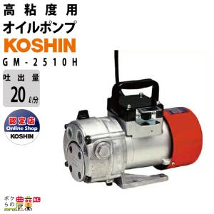 工進（KOSHIN） インバーター発電機 GV-16i (GV-16i-AAA-4) 定格出力