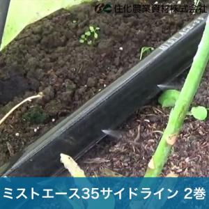 住化農業資材 灌水チューブ 無マルチ向け ミストエース35サイドライン WB8421 100M×2巻 無マルチ向け 散水幅1.2Ｍ 農業用｜bokunou