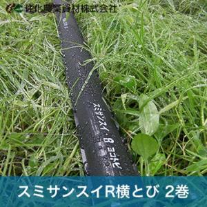 住化農業資材 灌水チューブ スミサンスイR横とび WB1045 100M × 2巻 無マルチ向け（果...