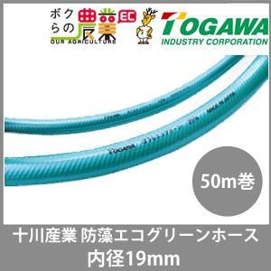 十川産業 ホース 50m 散水ホース ガーデンホース 内径19mm 防藻エコグリーンホース 十川 ぼうも ガーデニング 農業 洗車 園芸 農園 散水｜bokunou