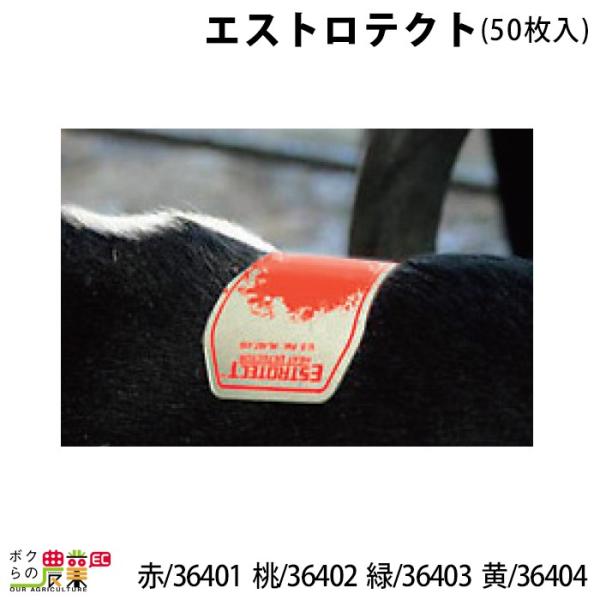 畜産用 エストロテクト 50枚入 赤 36401 桃 36402 緑 36403 黄 36404 発...