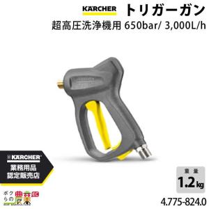 ケルヒャー（KARCHER） フラットノズル20度 6.025-466.0 高圧洗浄機用