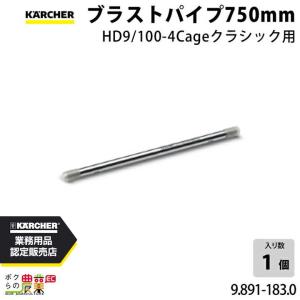 ケルヒャー（KARCHER） スプレーランス 4.760-653.0 高圧洗浄機用