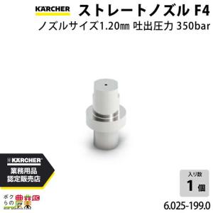 ケルヒャー（KARCHER） フラットノズル20度 6.025-466.0 高圧洗浄機用