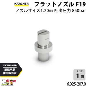 ケルヒャー（KARCHER） ストレートノズル 6.025-199.0 超高圧洗浄機用