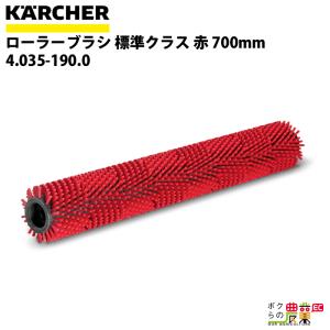 ケルヒャー ローラーパッドシャフト 532mm BR 55ヘッド用 4.762 ケルヒャー ローラーパッドシャフト 532mm BR 55ヘッド用 4.762