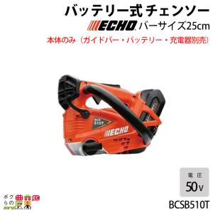 KIORITZ（共立） 【共立/KIORITZ】 チェンソー CS252T/25RCS25 [トップ