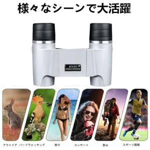 双眼鏡 ライブ用 コンサート用 双眼鏡 10倍...の詳細画像4