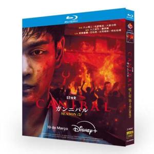 日本ドラマ「ガンニバル シリーズ2」DVD ブルーレイ Blu-ray BOX 全話収録