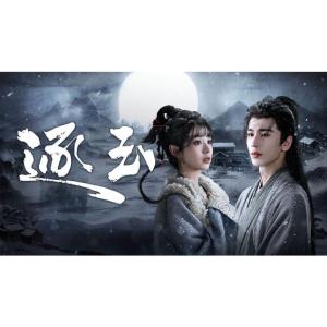 日本語字幕 中国ドラマ 華ドラ「逐玉: 翡翠の...の詳細画像1