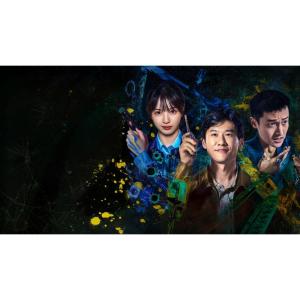 日本語字幕 中国ドラマ 華ドラ「低知能犯罪」D...の詳細画像1