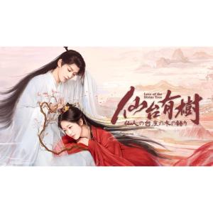 日本語字幕 中国ドラマ 華ドラ「仙台有樹~仙人...の詳細画像1