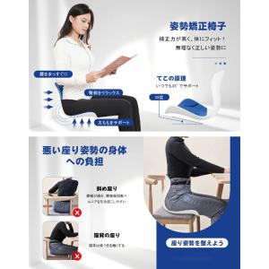 姿勢矯正 椅子 座るだけ腰が痛くならないクッシ...の詳細画像1