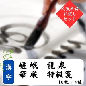 漢字向き半切 5種お試しセット3 総額6000円超 紅梅 安徽単宣 清露 柏葉