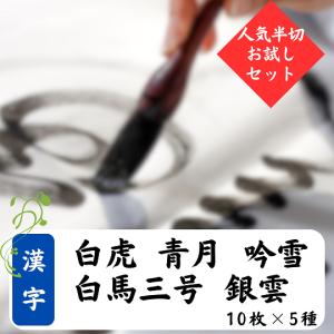 般若心経 掛け軸 書道用品 肉筆 写経 紺紙金泥 : 工房 墨彩舎 - 通販