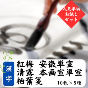 浄皮 単宣 画仙紙 宣紙 書道 半切 二反 楽天市場】浄皮単宣の通販