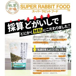 【お試し用サイズ】牧草市場 スーパーラビットフ...の詳細画像1