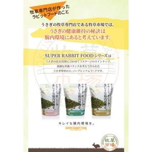 【お試し用サイズ】牧草市場 スーパーラビットフ...の詳細画像3