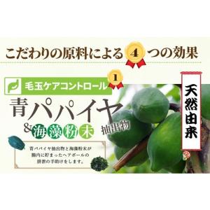 【お試し用サイズ】牧草市場 スーパーラビットフ...の詳細画像5