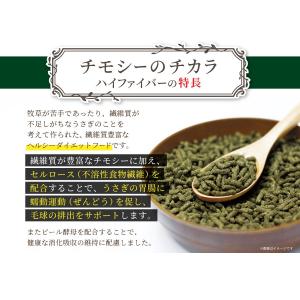 【送料無料】牧草市場 チモシーのチカラ ハイフ...の詳細画像5