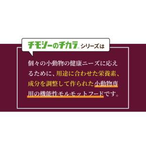 【お試し用サイズ】牧草市場 チモシーのチカラ ...の詳細画像3
