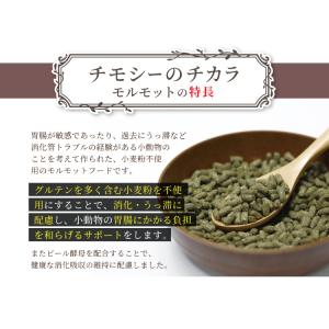 【お試し用サイズ】牧草市場 チモシーのチカラ ...の詳細画像4
