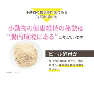【お試し用サイズ】牧草市場 チモシーのチカラ ...の詳細画像5