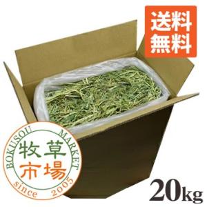 牧草市場 カナダ産 プレミアム チモシー 1番刈り 1kg (500g×2パック