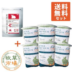 牧草市場 USチモシー 2番刈り（特選プレミアム）牧草 ソフトタイプ
