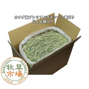 牧草市場 カナダ産 プレミアム チモシー 1番刈り 1kg (500g×2パック