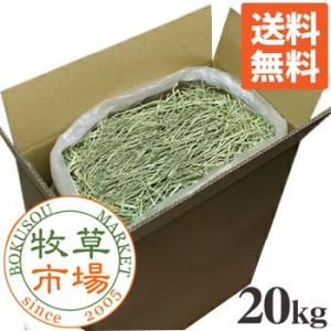 牧草市場 カナダ産 プレミアム チモシー 1番刈り 20kg袋入【sg】