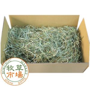 牧草市場 USチモシー 2番刈り（特選プレミアム）牧草 ソフトタイプ