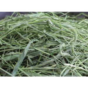 【令和7年度産新刈り】【送料無料】牧草市場 スーパープレミアム チモシー 1番刈り 牧草 3kg (500g×6パック)