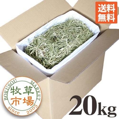 牧草市場 USチモシー 2番刈り（特選プレミアム）牧草 ダブルプレス 20kg袋入【sg】