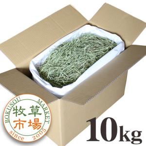 牧草市場 USチモシー 2番刈り（特選プレミアム）牧草 ソフトタイプ