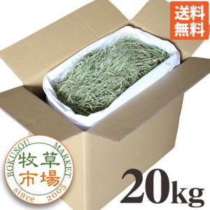 牧草市場 USチモシー 2番刈り（特選プレミアム）牧草 ソフトタイプ