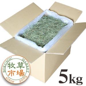 【令和4年度産新刈り】牧草市場 USチモシー 3番刈り 牧草 スーパーソフト 5kg｜bokusoichiba