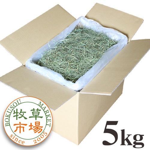 【令和7年度産新刈り】牧草市場 USチモシー 3番刈り（特選プレミアム）牧草 スーパーソフト 5kg