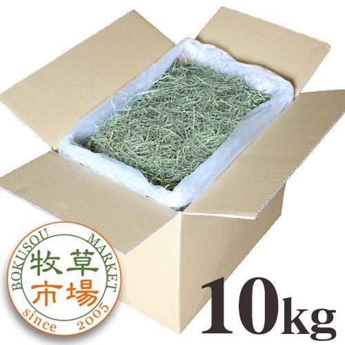 【令和4年度産新刈り】牧草市場 USチモシー 3番刈り 牧草 スーパーソフト 10kg