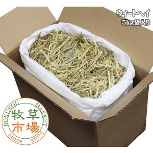 牧草市場 カナダ産 プレミアム チモシー 1番刈り 5kg 袋入【ymt