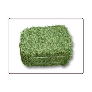 アメリカ産 アルファルファ ヘイキューブ 約30kg(1個あたり：約30g