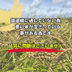 令和8年度 新米 ふさこがね(玄米)5kg 千...の詳細画像1