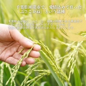 令和8年度 新米 ふさこがね(玄米)5kg 千...の詳細画像2
