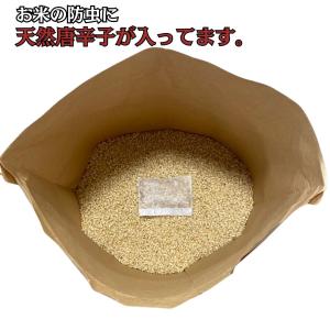 令和8年度 新米 ふさこがね(玄米)5kg 千...の詳細画像5