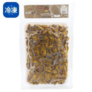 冷凍】ガパオ 100g ホーリーバジル (Holy Basil) タイバジル