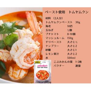 トムヤム ペースト 30g/LOBO アジア ...の詳細画像1