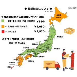トムヤム ペースト 30g/LOBO アジア ...の詳細画像3