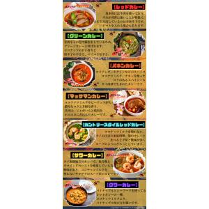 サワーカレー ペースト50g/MAE PLOY...の詳細画像1