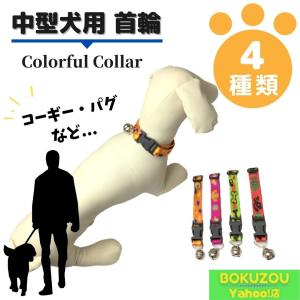 送料無料　中型犬用／カラフルな首輪（トイプードル・Mダックスなど）クリックポスト可　ペット用品　犬　首輪　ハーネス　リード｜bokuzou-shop